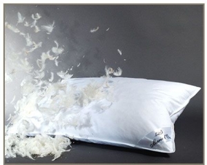 Jesmary - Gối lông vũ xưởng sản xuất giá rẻ mềm mại đánh thức trải nghiệm ngủ tại Hồ Chí Minh