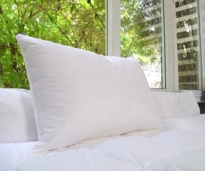 Jesmary – Xưởng Sản Xuất Gối Lông Vũ Kết Tinh Công Nghệ Hiện Đại Và Tinh Hoa Nghề May Truyền Thống Tại Thành Phố Hồ Chí Minh